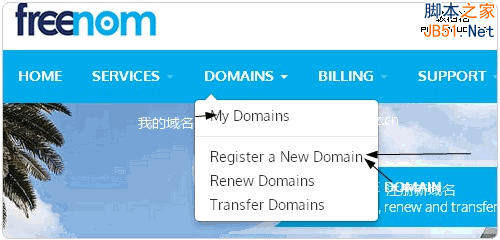 Freenom选择新域名注册